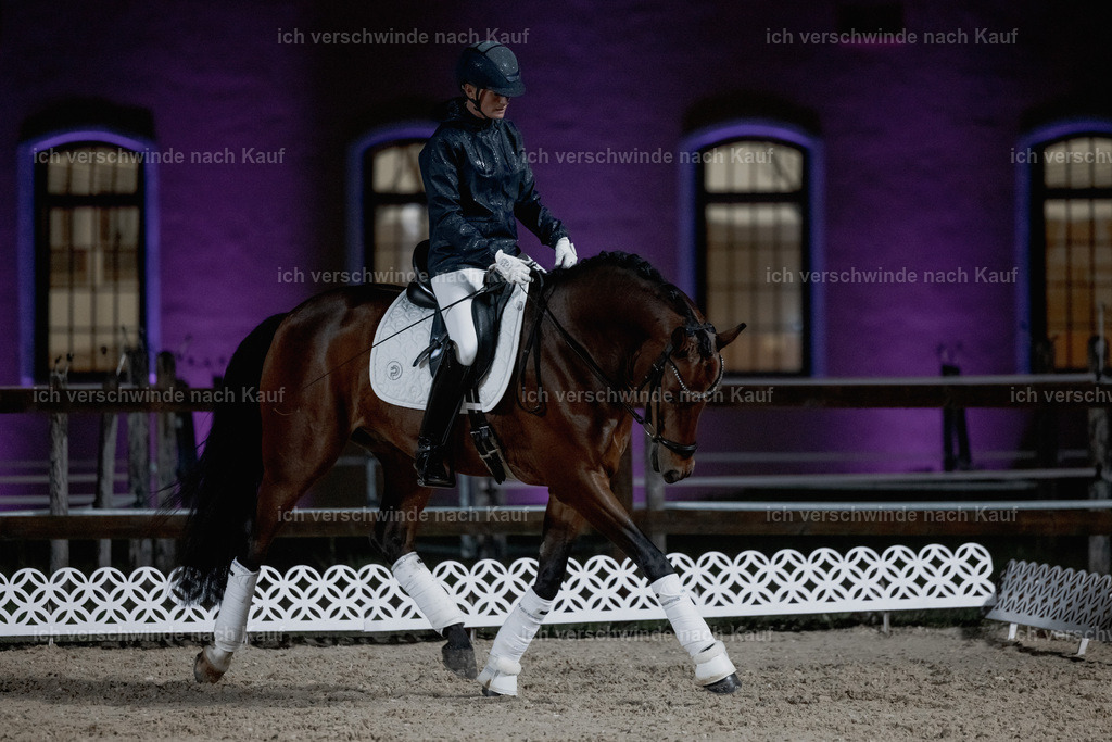 FHClassics-52 | working equitationturnier fotograf videograf stoibphotography marixx film working equitation deutschland reitsport turnierfotografie eventfotografie equestrian events