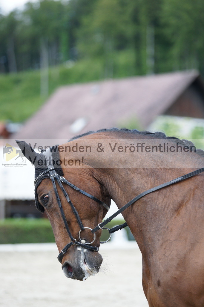 DSC05334 | equestrian-live-com