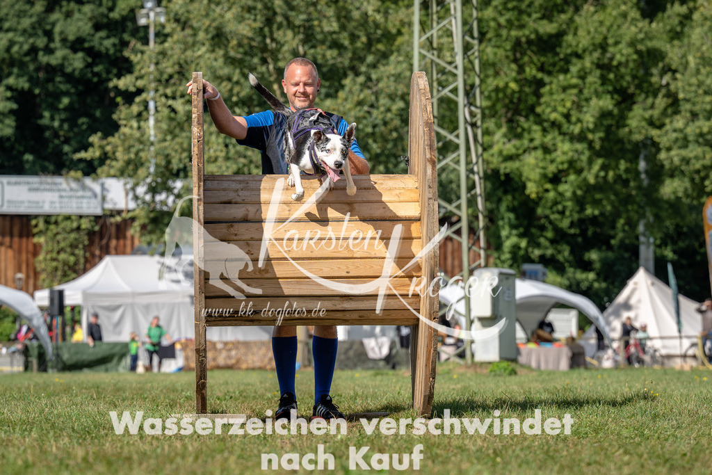 1119_ZZ94641 | kk-dogfotos