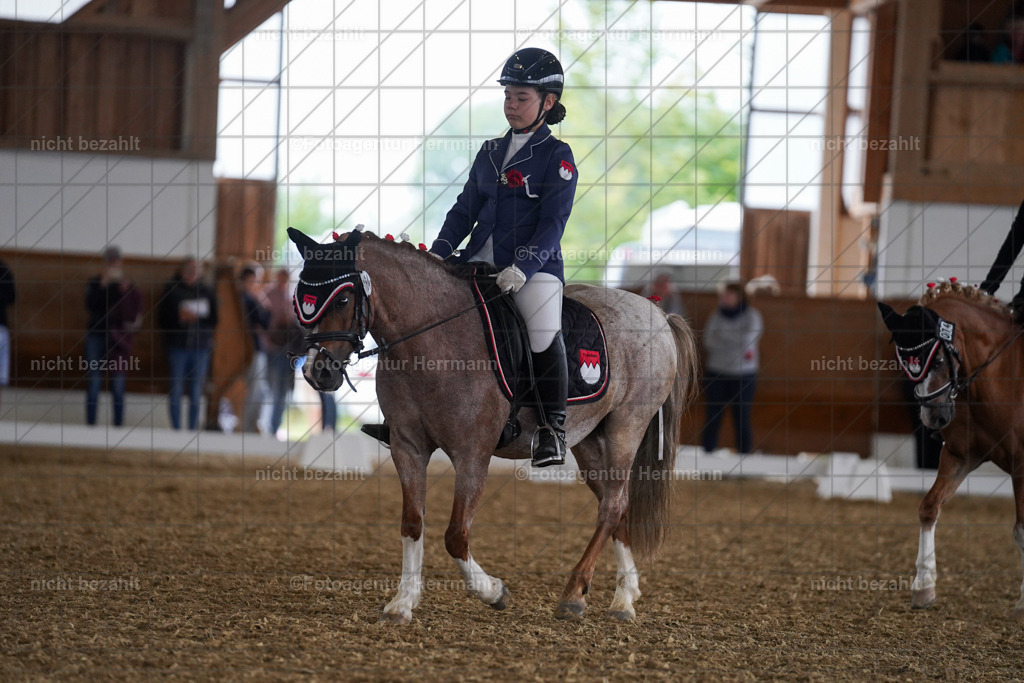 FAH09393 | Turnierbilder, Reitsportfotos, LAPO, Landesponyturnier, Turnierfotografen Bayern
