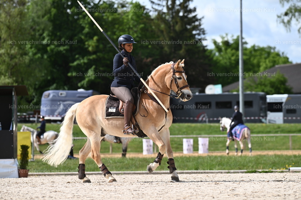 PI26_ST_Sara_Landvogt226_2296.JPG | working equitationturnier fotograf videograf stoibphotography marixx film working equitation deutschland reitsport turnierfotografie eventfotografie equestrian events