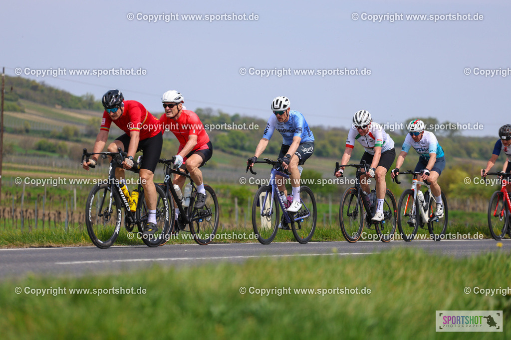 IMG_2705 | @sportshot_your_pictrs #yourpictures#roadtowm2029 #nrm #neusiedlerseeradmarathon #neusiedlersee #neusiedlerseetourismus #burgenland #mörbisch #nrm26 #burgenlandtourismus #voglundco #poweredbyburgenlandtourismus #radsport #rad #marathon #ucigranfondo #visitburgenland #ucigranfondoworldseries