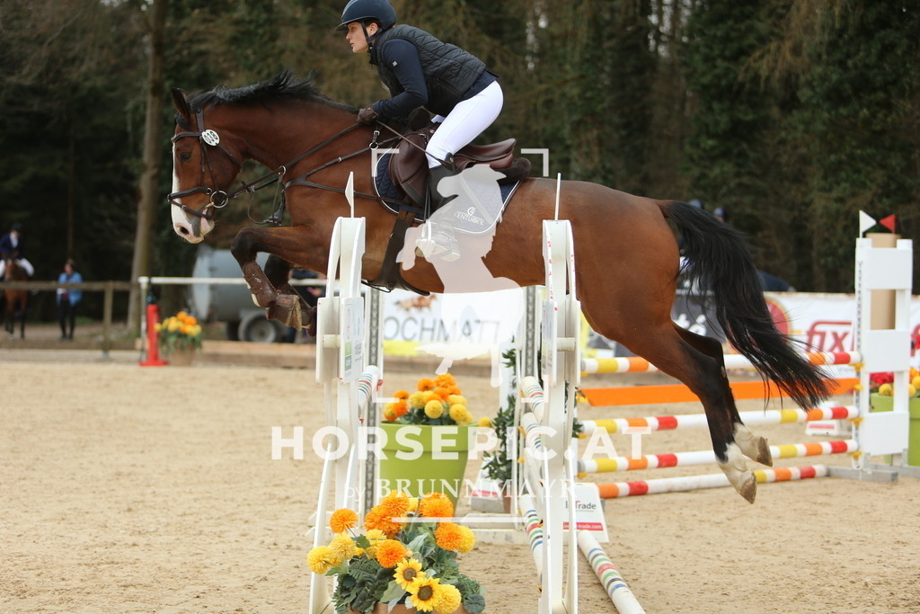 DL2Q6097 | Willkommen bei Brunnmayr - Design & Fotografie – Ihrem Spezialisten für Reitturniere und Pferdeveranstaltungen in Oberösterreich, Salzburg und Bayern! Seit über 17 Jahren sind wir leidenschaftlich dabei.