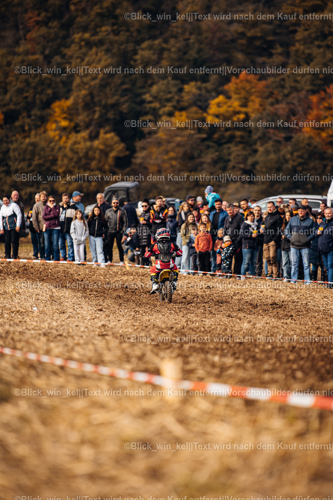 E68A8773 | blick_win_kel