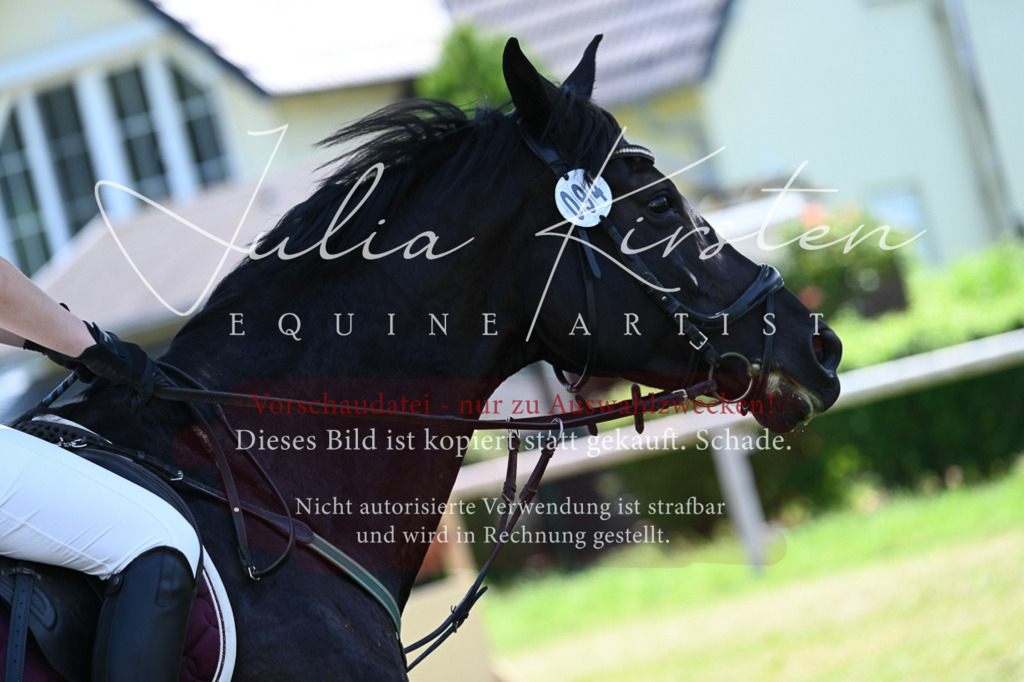 DSC_0702 | Pferde- und Turnierfotografie in Westsachsen. Pferdeportraits, Auftragszeichnungen und intuitive Kunst.