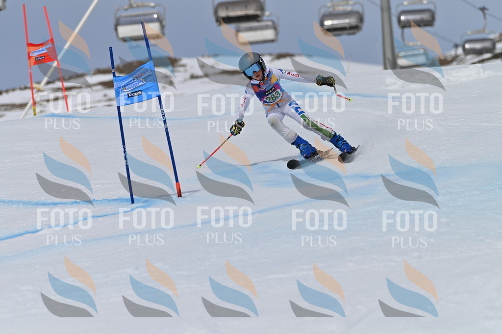 BGV_5631 | holidayphoto