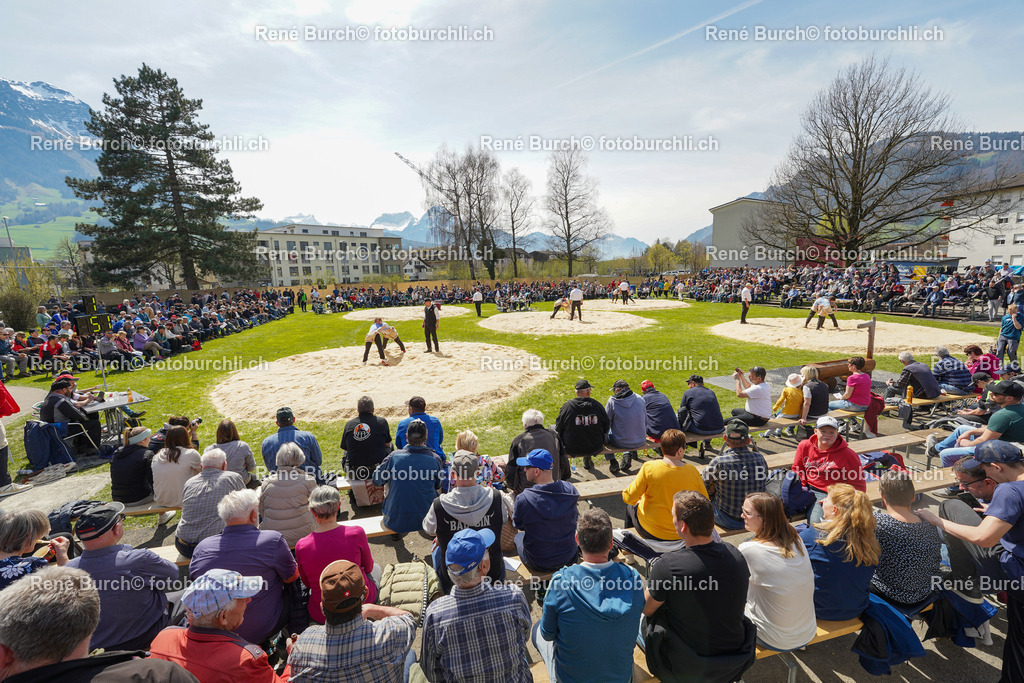 DSC09780 | René Burch leidenschaftlicher Fotograf aus Kerns in Obwalden.  Hier finden sie Sport, Landschaft und Natur Fotografie.
 - Realisiert mit Pictrs.com