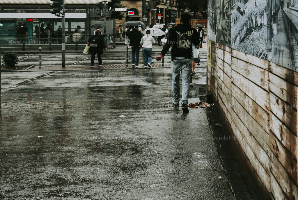 _MG_8142_01 | Wandbilder, Bilder, Fotograf in Marburg, Tierbilder, Wandfotos, Bilder Shop, Günstige Bilder, Schwarz-Weiß Bilder, Ralph Heiser