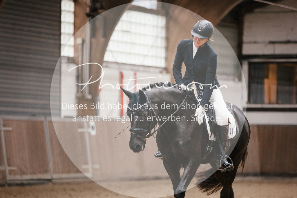 3I6A6169 | Stimmungsvolle Portraits und Reitsportfotografie im Ruhrgebiet und im Münsterland.

Pferdefotografie, Hundefotografie, Tierfotografie, Reportagen, Portraits von Tier und Mensch, Turnierfotografie in Bochum, Recklinghausen, Marl, Haltern am See, Dülmen.. - Realisiert mit Pictrs.com