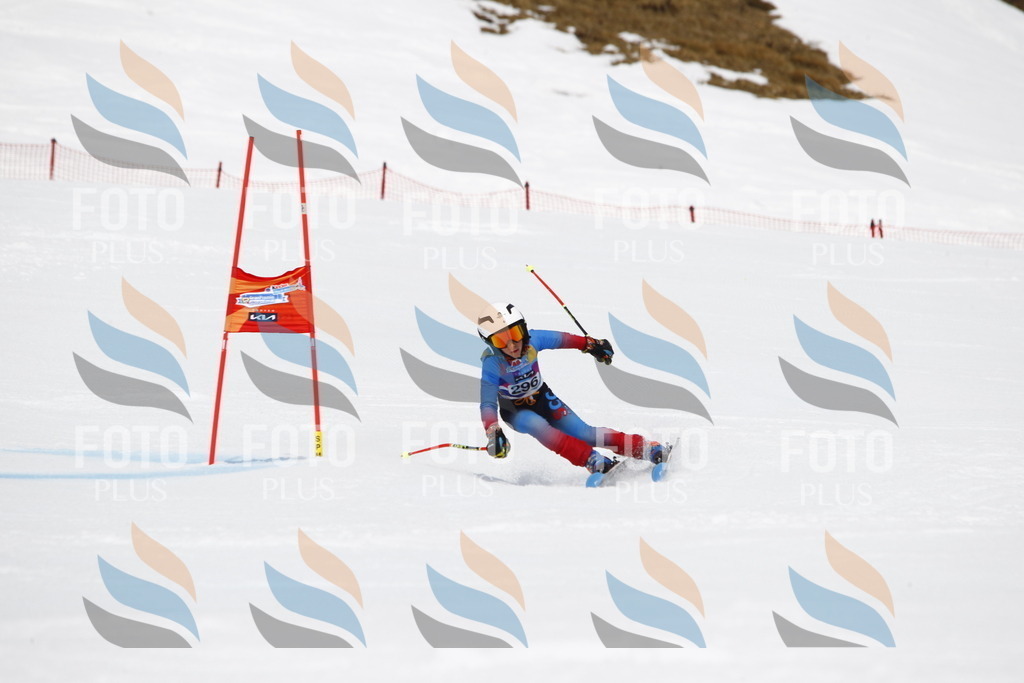 _U3G7379 | holidayphoto