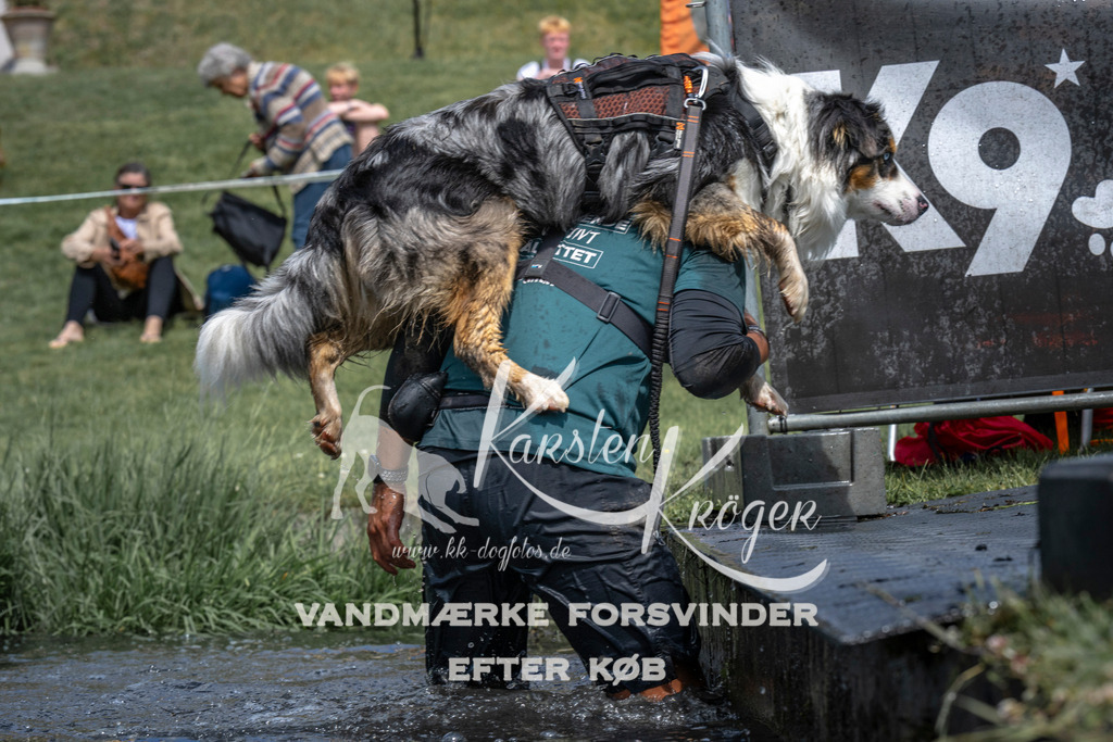1106_ZZ90981 | kk-dogfotos
