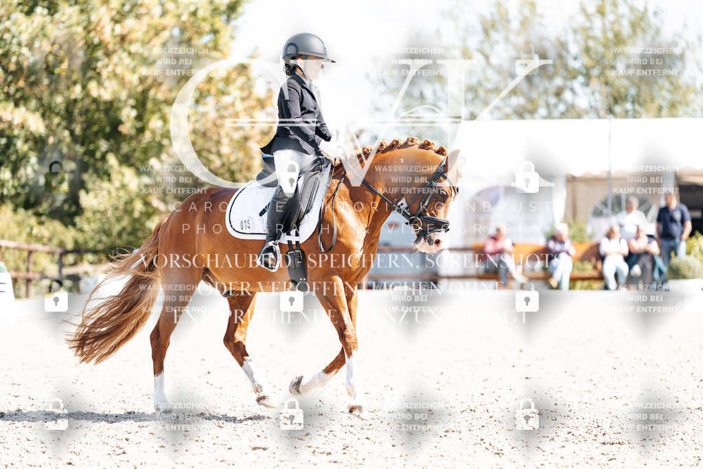 CK903072 | Turnierfotografie Pferdefotografie Trier Rheinland-Pfalz Pferdesport Reitsport Tierfotografie Sportfotografie Pferdevideo Pferdevideografie Equestrianvideography equestrianphotography  - Realisiert mit Pictrs.com