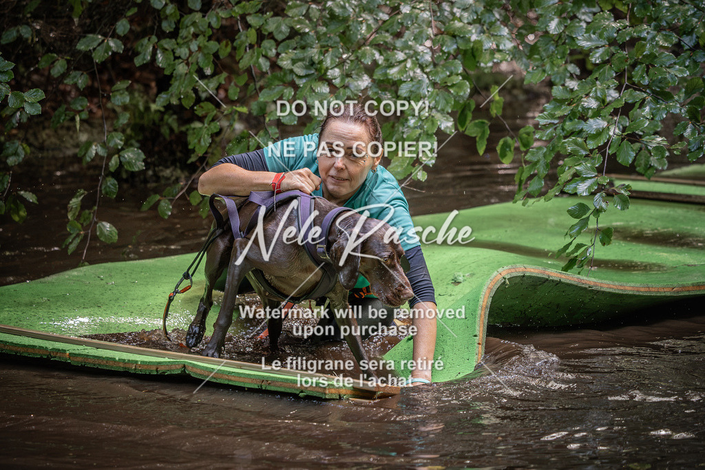 nelerasche_Wingst_Sa1330-1400_244 | nelerasche
