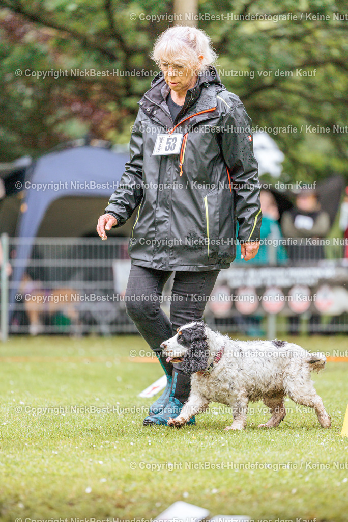 RO-Blumenthal-2026-Nickbest-Hundefotografie-0947 | Dein Hund! Dein Moment! Deine Erinnerungen! Hundefotografie in Bremen Blumenthal. Ich fange die besonderen Momente deines Vierbeiners ein – ob Indoor mit Blitzanlage oder in der freien Natur. Sicher dir dein Moment und dein Termin für eure Erinnerungen.