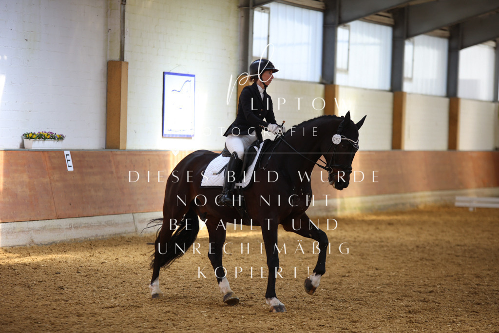 IMGT4546 | pl-fotografie