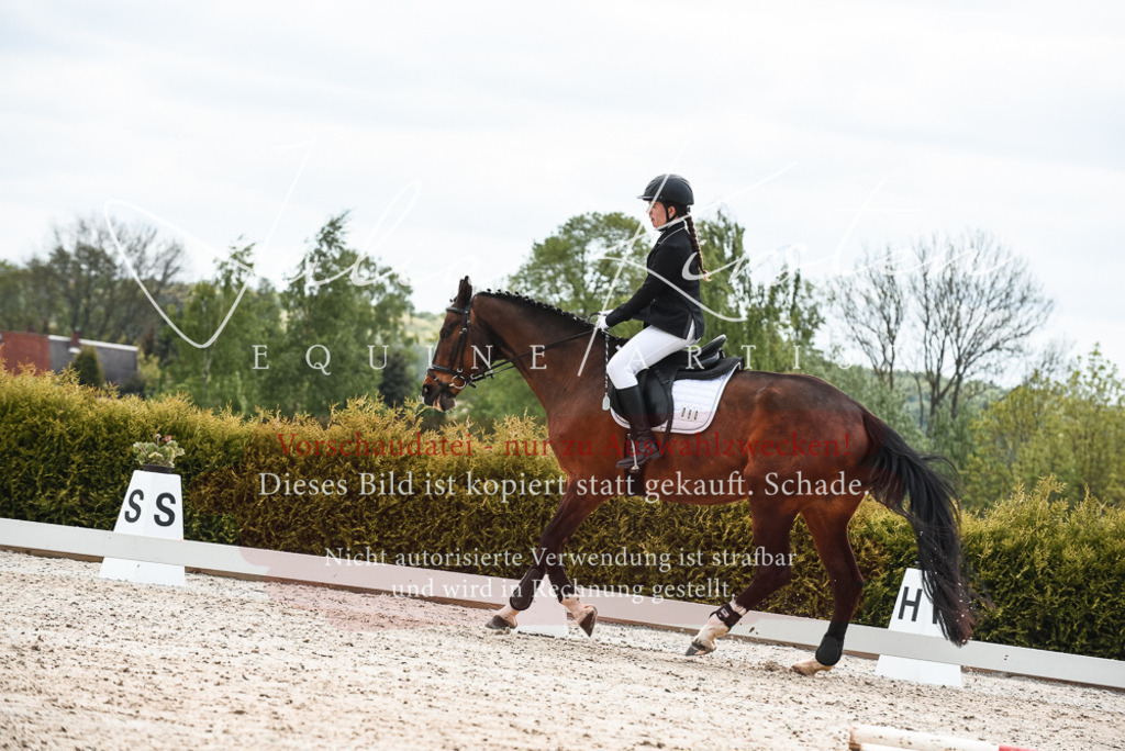 20230518_JK-Röhrsdorf-10-173 | Pferde- und Turnierfotografie in Westsachsen. Pferdeportraits, Auftragszeichnungen und intuitive Kunst.