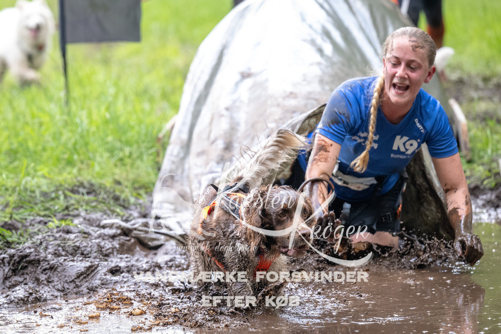 1225_ZZ92166 | kk-dogfotos