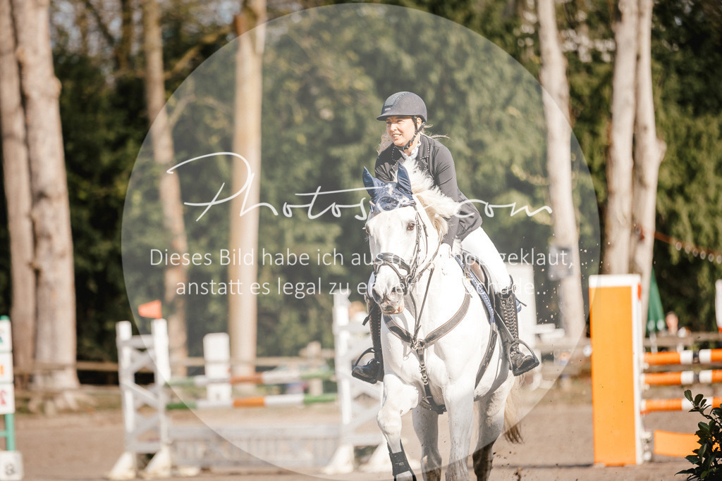 3I6A3531 | Stimmungsvolle Portraits und Reitsportfotografie im Ruhrgebiet und im Münsterland.

Pferdefotografie, Hundefotografie, Tierfotografie, Reportagen, Portraits von Tier und Mensch, Turnierfotografie in Bochum, Recklinghausen, Marl, Haltern am See, Dülmen.. - Realisiert mit Pictrs.com