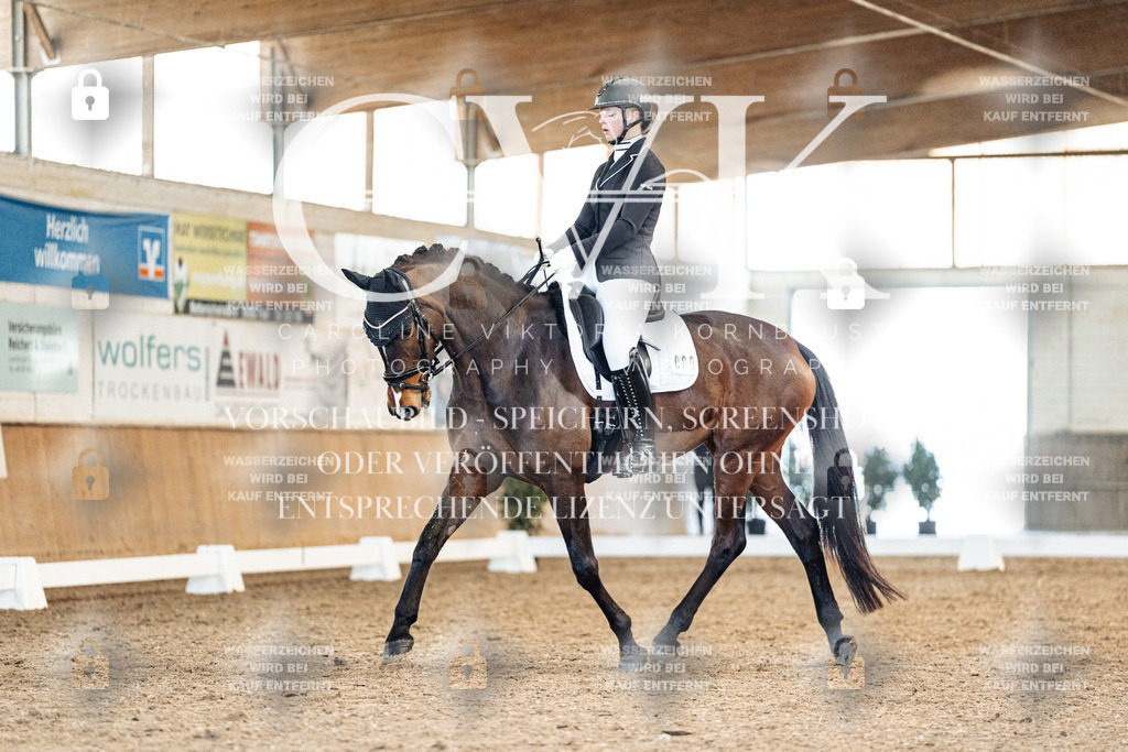 CK908860 | Turnierfotografie Pferdefotografie Trier Rheinland-Pfalz Pferdesport Reitsport Tierfotografie Sportfotografie Pferdevideo Pferdevideografie Equestrianvideography equestrianphotography  - Realisiert mit Pictrs.com