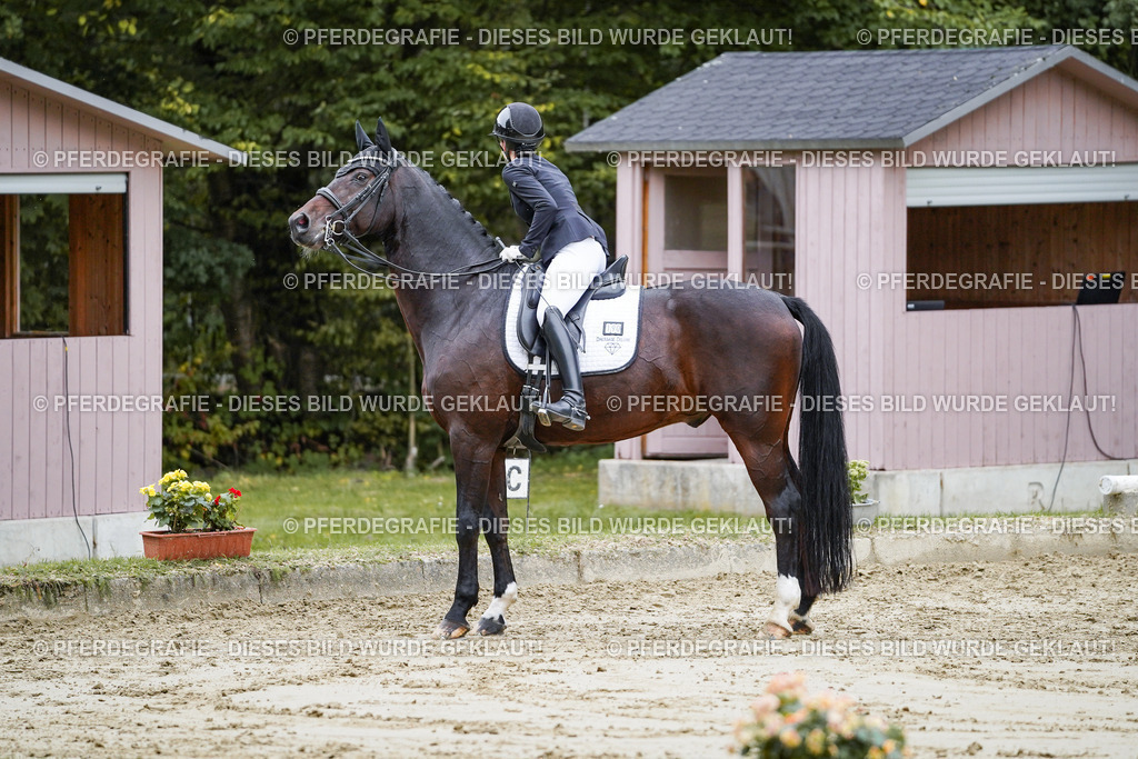 DSC09204 | Pferdegrafie