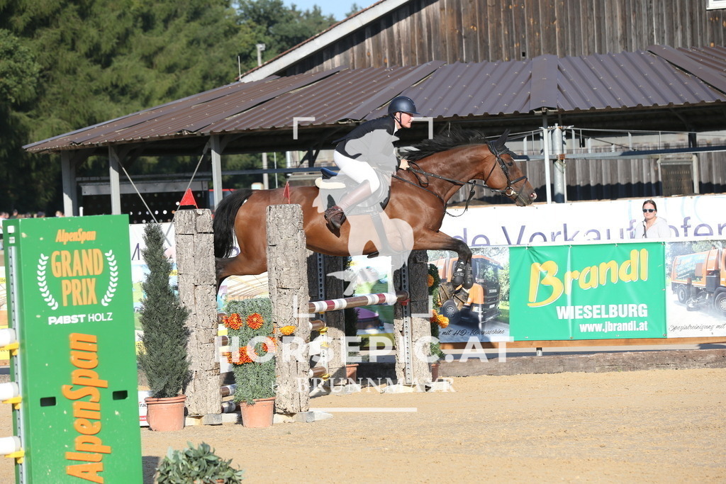 DL2Q1578 | Willkommen bei Brunnmayr - Design & Fotografie – Ihrem Spezialisten für Reitturniere und Pferdeveranstaltungen in Oberösterreich, Salzburg und Bayern! Seit über 17 Jahren sind wir leidenschaftlich dabei.