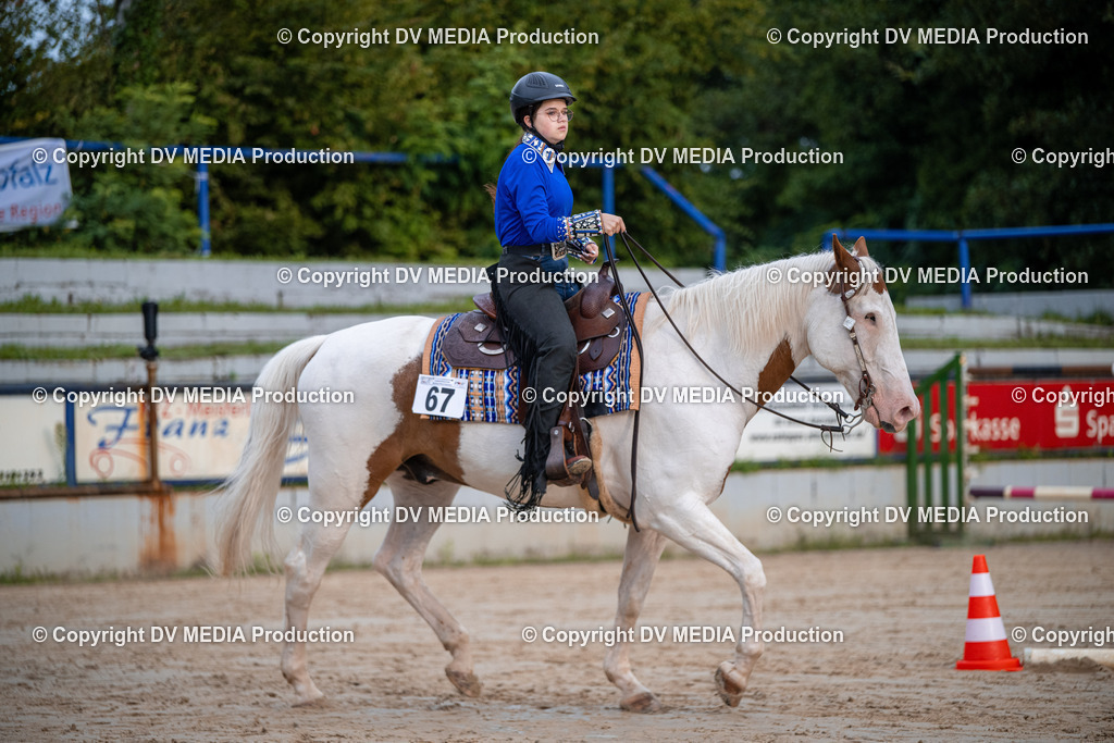 ZS3_4490 | dv-media-shop - Realisiert mit Pictrs.com