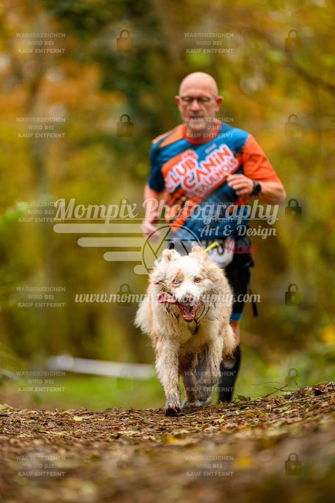 MompixPhotography_Bischwiller24_SA_Canicross-180 | mompixphotography