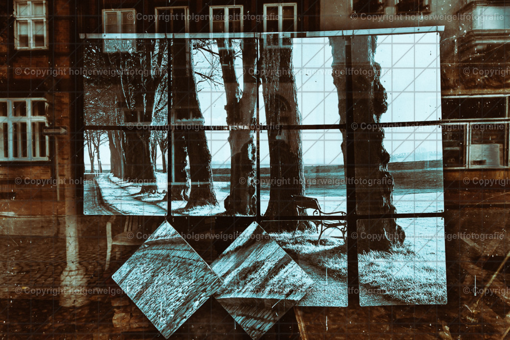 20221008122141D75_0717 | Kaufen sie online außergewöhnliche Fotografien auf Leinwand Acrylglas Fotoprint Aludibond von holgerweigeltfotografie - Realisiert mit Pictrs.com