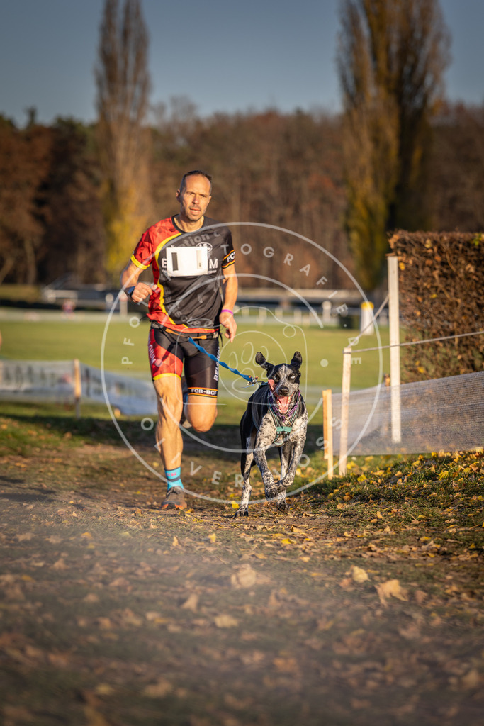 CaniXpix_DV3A4234 | Hundefotografie, Tierfotograf, Pfotenfotografie, Fotoshooting Hund, Hunde Portrait, Hundesport, Hundeportraits, Heideshooting, Hunde, Sportfotograf, Hundefotograf, Turnierhundsport, THS,  - Realisiert mit Pictrs.com