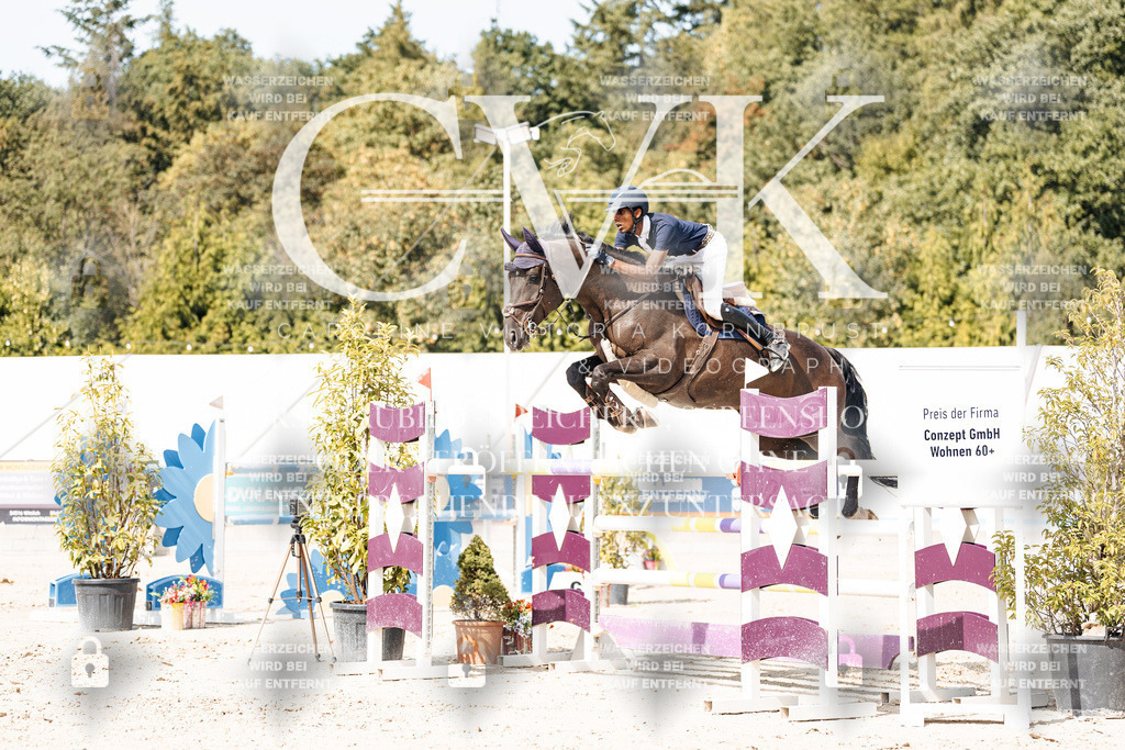CK905373 | Turnierfotografie Pferdefotografie Trier Rheinland-Pfalz Pferdesport Reitsport Tierfotografie Sportfotografie Pferdevideo Pferdevideografie Equestrianvideography equestrianphotography  - Realisiert mit Pictrs.com
