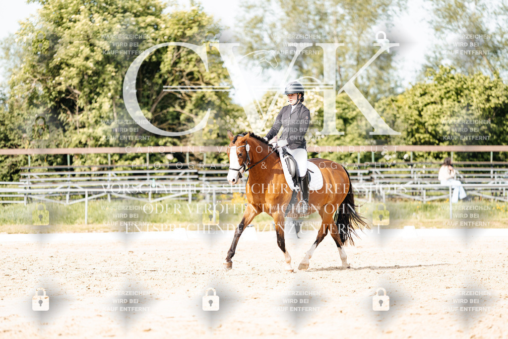 CK900544 | Turnierfotografie Pferdefotografie Trier Rheinland-Pfalz Pferdesport Reitsport Tierfotografie Sportfotografie Pferdevideo Pferdevideografie Equestrianvideography equestrianphotography  - Realisiert mit Pictrs.com