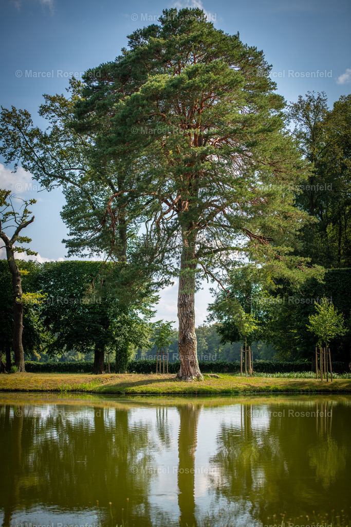 _DSC0602 | foto-rosenfeld