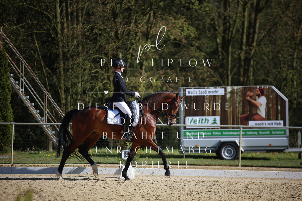 IMGT8895 | pl-fotografie