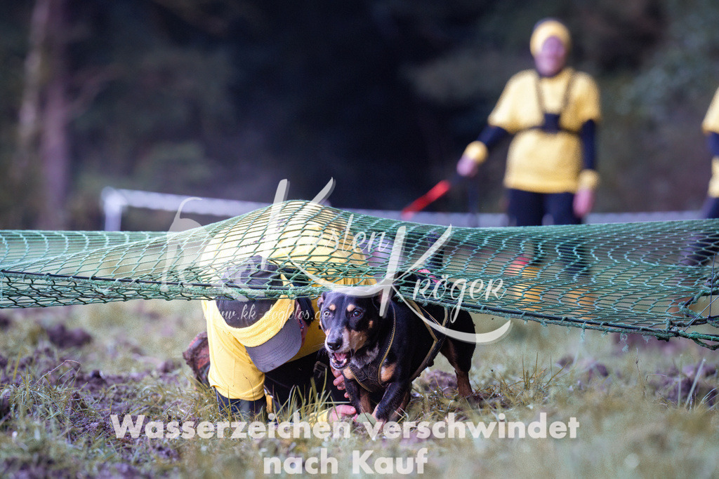 0840_ZZ90554 | kk-dogfotos