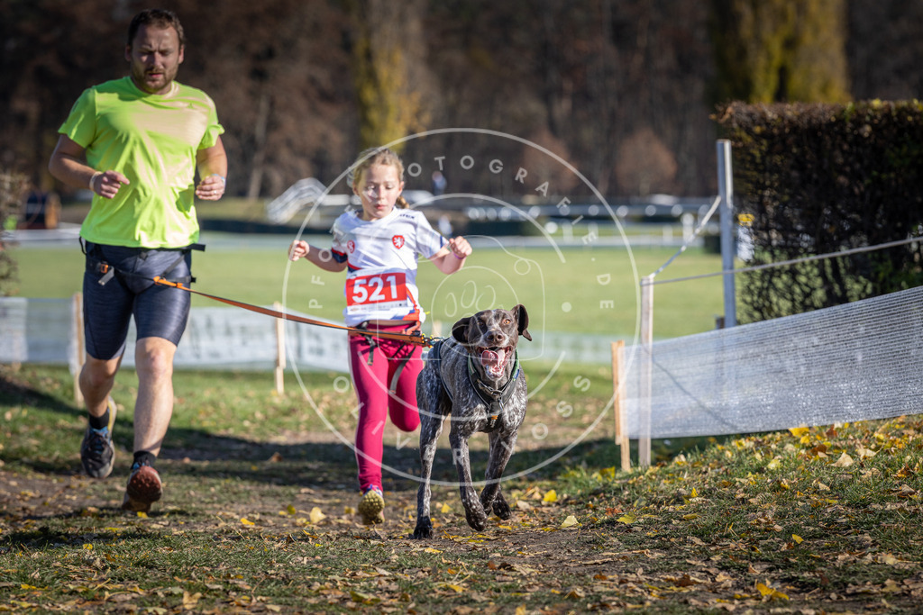 CaniXpix_DV3A8116 | Hundefotografie, Tierfotograf, Pfotenfotografie, Fotoshooting Hund, Hunde Portrait, Hundesport, Hundeportraits, Heideshooting, Hunde, Sportfotograf, Hundefotograf, Turnierhundsport, THS,  - Realisiert mit Pictrs.com