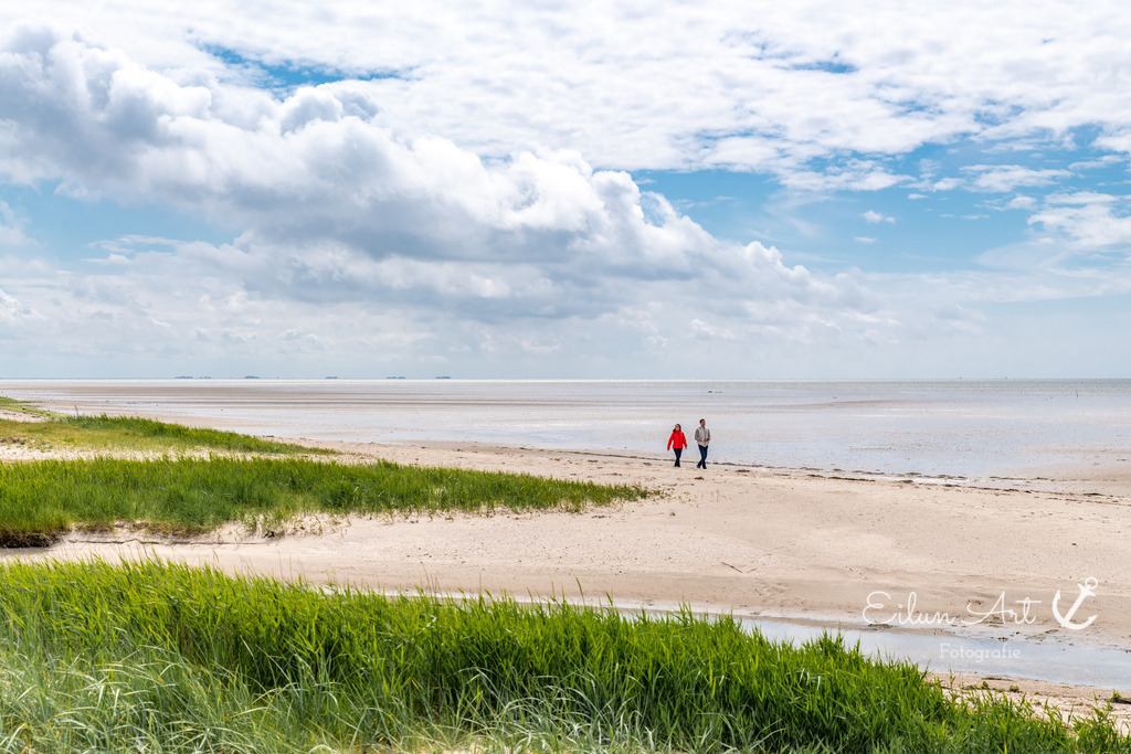 20240616-EAF_2139 | Eilun-Art-Fotografie Levke Martens, ihre Fotografin für Immobilien- und Landschaftsfotografie auf Föhr, Föhrer Motive als Poster, Leinwand, hinter Acrylglas oder stelle dir deinen eigenen Monatskalender zusammen, mit nur einem Klick
