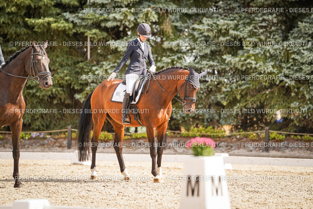 DSC01149 | Pferdegrafie