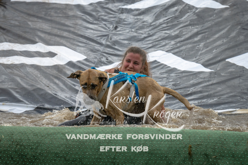 1541_ZZ94944 | kk-dogfotos