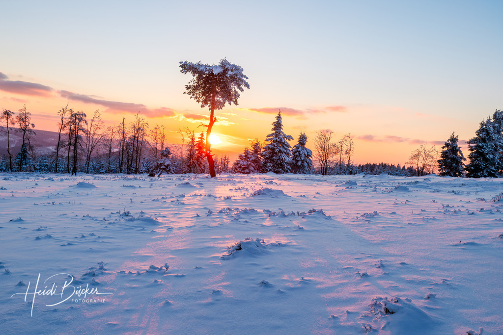 Abendstimmung auf dem Kahlen Asten im Winter | Sonnenuntergang auf dem Kahlen Asten im Winter - Realisiert mit Pictrs.com