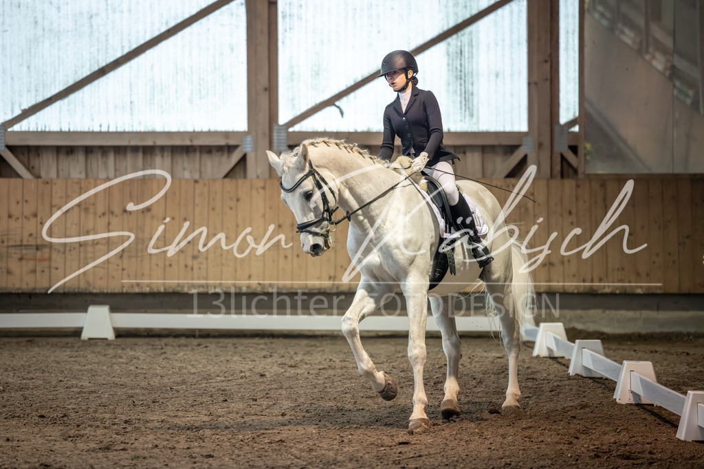 20251011-_3LI5833 | Tierfotografie Pferde, Hunde, Katzen, Haustiere.
Turnierfotografie Reitturniere, Reiten, Springreiten, Dressur in Hanau, dem Main-Kinzig-Kreis und dem Rhein-Main- Gebiet um Frankfurt