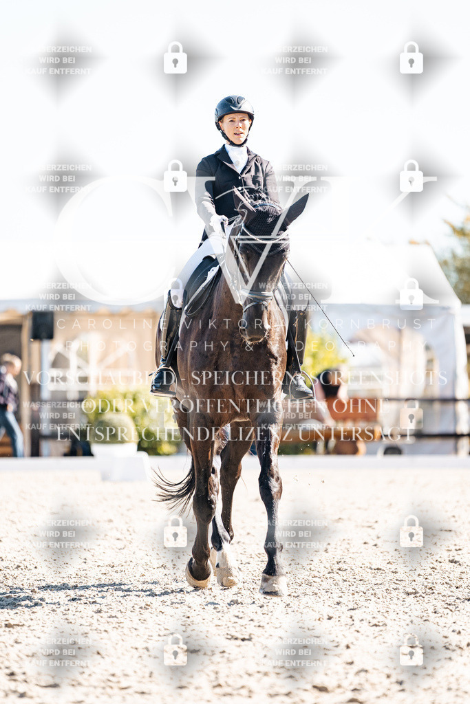 CK908922 | Turnierfotografie Pferdefotografie Trier Rheinland-Pfalz Pferdesport Reitsport Tierfotografie Sportfotografie Pferdevideo Pferdevideografie Equestrianvideography equestrianphotography  - Realisiert mit Pictrs.com