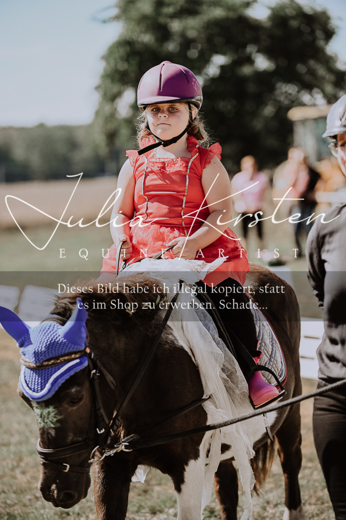 DSC_9115 | Pferde- und Turnierfotografie in Westsachsen. Pferdeportraits, Auftragszeichnungen und intuitive Kunst.