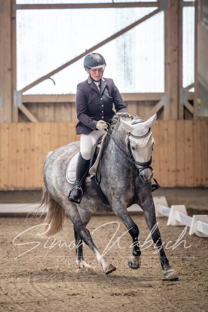 20251011-_3LI9215 | Tierfotografie Pferde, Hunde, Katzen, Haustiere.
Turnierfotografie Reitturniere, Reiten, Springreiten, Dressur in Hanau, dem Main-Kinzig-Kreis und dem Rhein-Main- Gebiet um Frankfurt