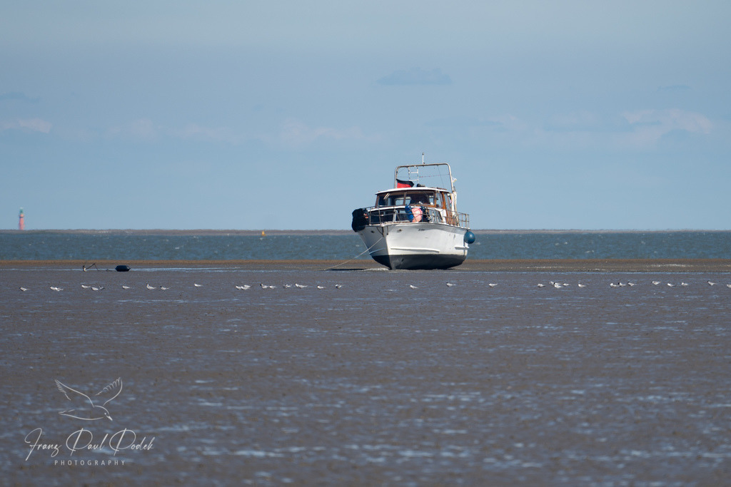 F83F3BB6-EC05-4D3A-BE19-BCE9CC44F991 | Franz Podek