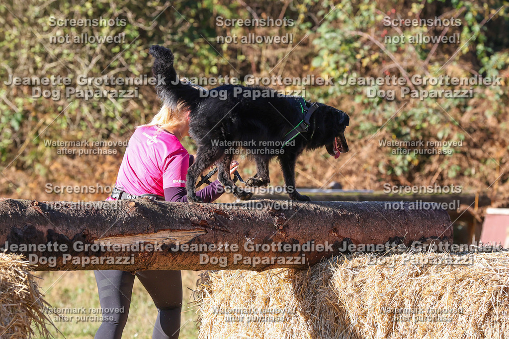 Dog Paparazzi - Strongdog 10-25-1904 | Dog Paparazzi Jeanette Grottendiek Fotografie & Videografie - Realisiert mit Pictrs.com