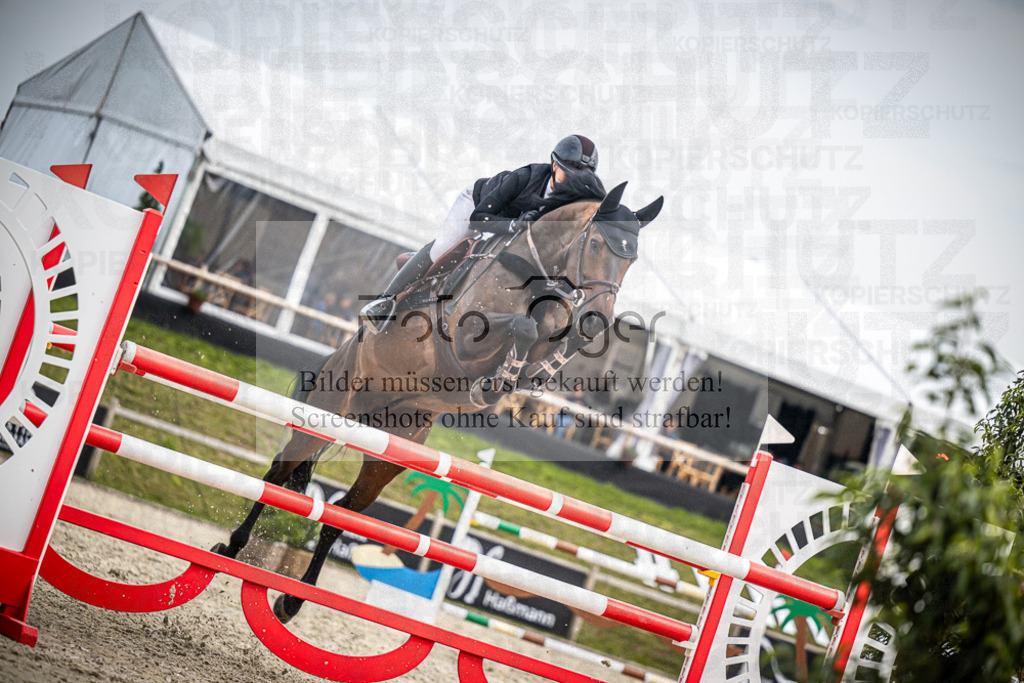 DOS_2842 | Entdecke hochwertige Reitturnierfotos von Foto Oger. Professionell, emotional und authentisch – jetzt Lieblingsmomente im Shop bestellen.Deutschlandweite Turnierfotografie. - Realisiert mit Pictrs.com