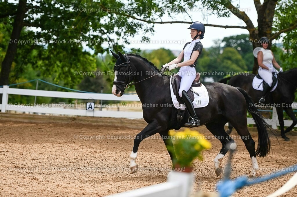 20230715_05_Dressurprüfung Kl.A++_0158 | equistock