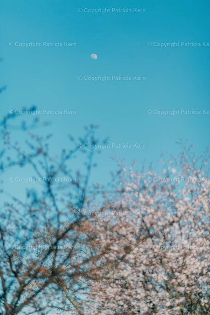 _DSC7732 | Patricia Kern | Fotografie