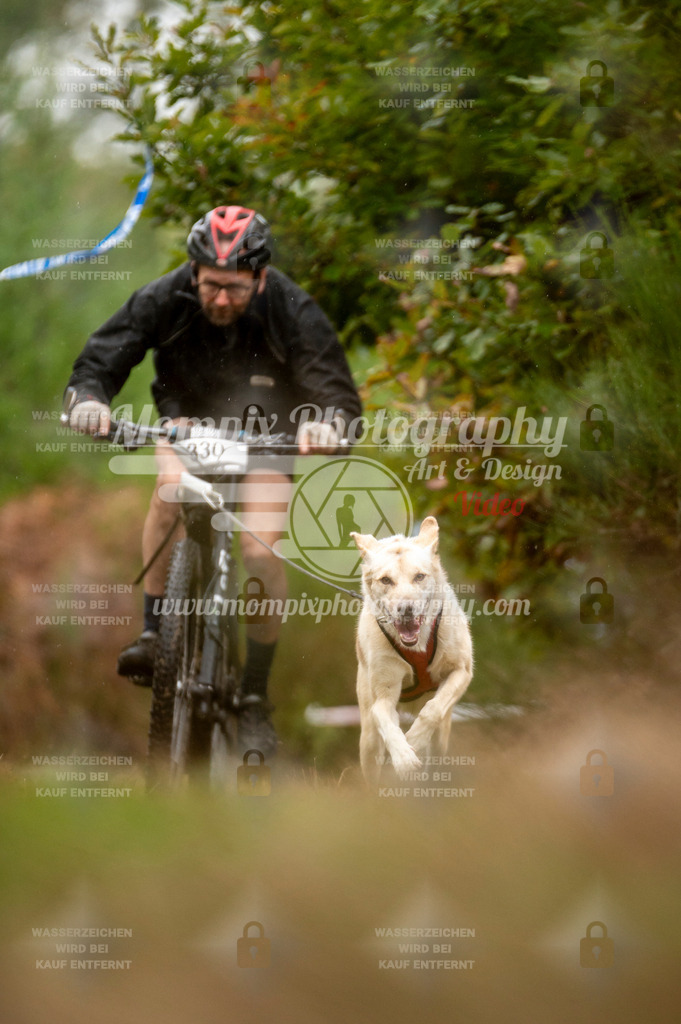 TSB_2023_E5_Bike-23 | PayLife