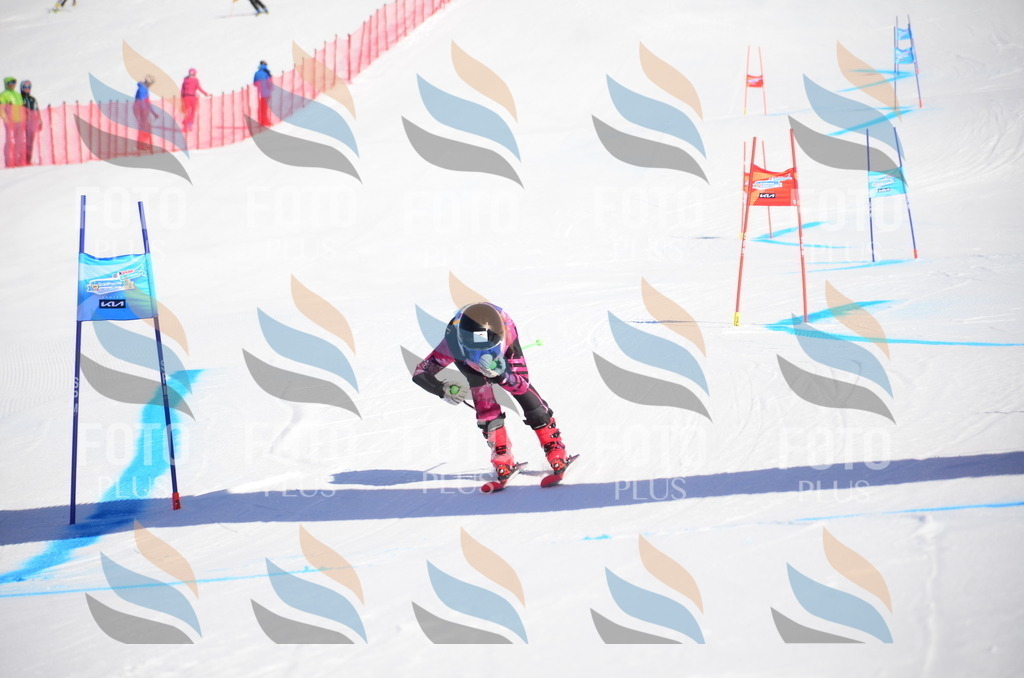 VR4_8873 | holidayphoto